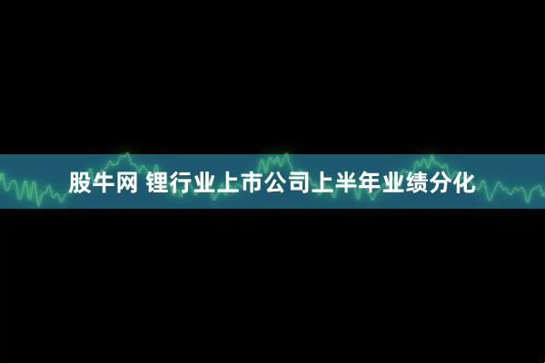 股牛网 锂行业上市公司上半年业绩分化