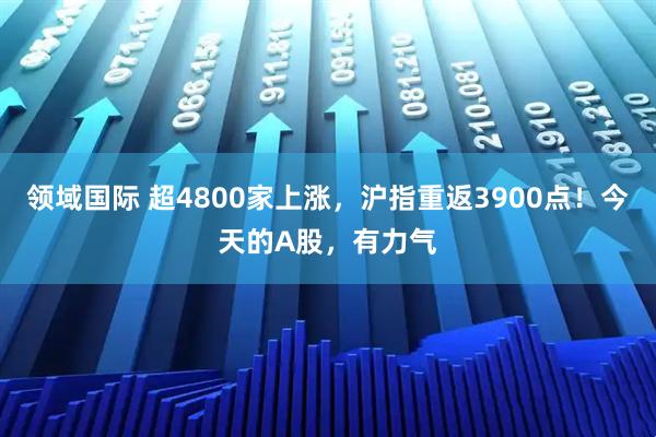 领域国际 超4800家上涨,沪指重返3900点!今天的A股,有力气