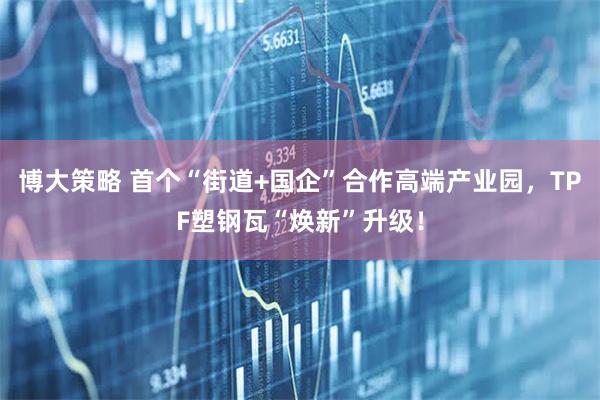 博大策略 首个“街道+国企”合作高端产业园，TPF塑钢瓦“焕新”升级！