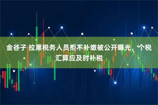 金谷子 拉黑税务人员拒不补缴被公开曝光，个税汇算应及时补税